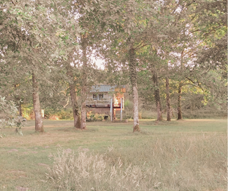 La cabane vue de l'extérieur dans la forêt