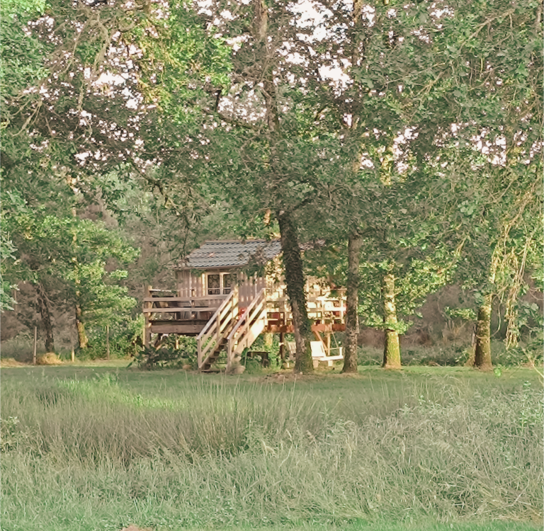 Cabane vue de l'extérieur